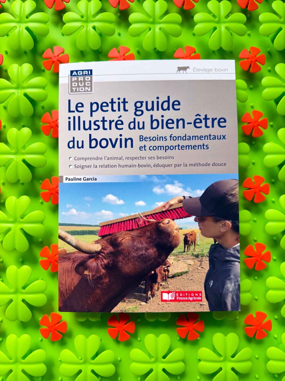 Le Petit Guide Illustré du Bien-Être du Bovin