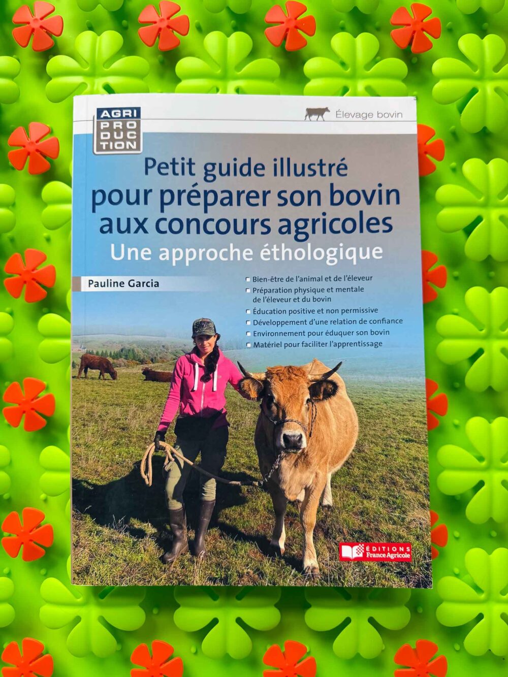 Petit Guide Illustré pour Préparer son Bovin aux Concours Agricoles