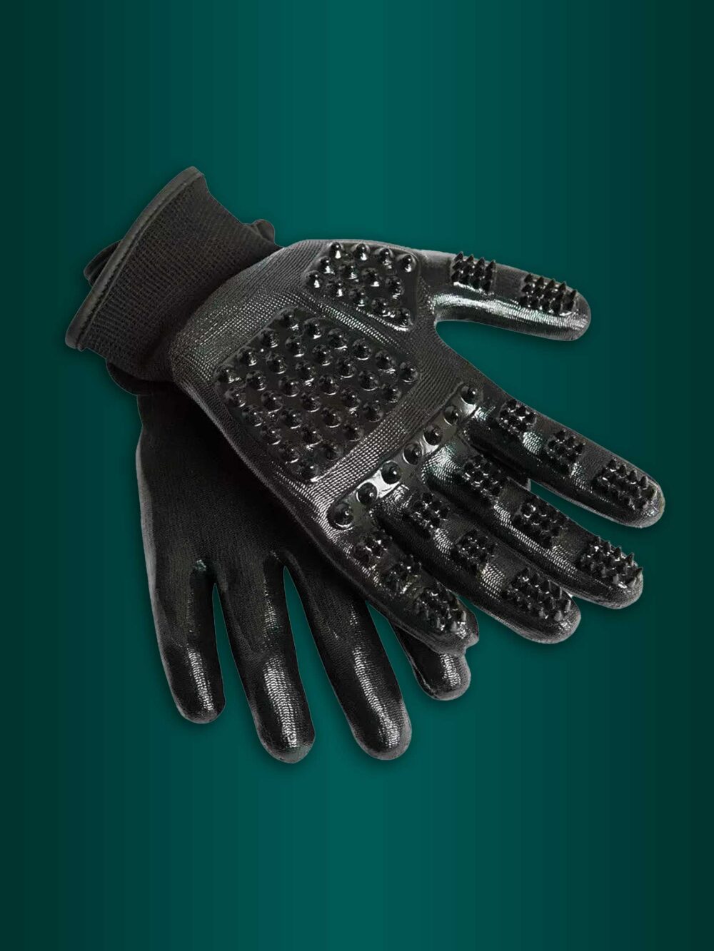 Gants de Grattage pour Animaux