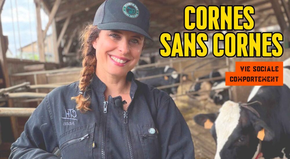 Cornes et sans cornes